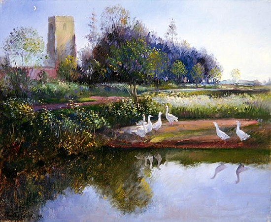 Geese at Sundown, 1991  from Timothy  Easton