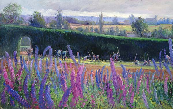 Hoeing Against the Hedge, 1991  from Timothy  Easton