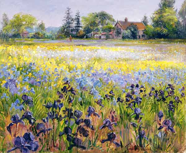 Irises and Two Fir Trees, 1993  from Timothy  Easton