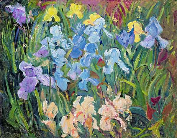 Irises: Pink, Blue and Gold, 1993  from Timothy  Easton