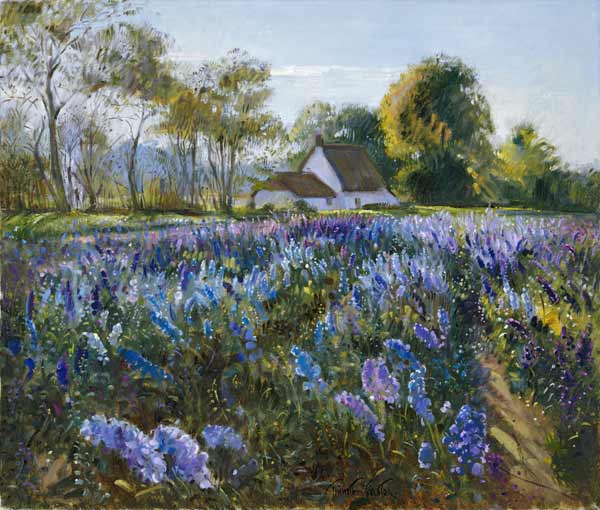 October Delphiniums (oil on canvas)  from Timothy  Easton