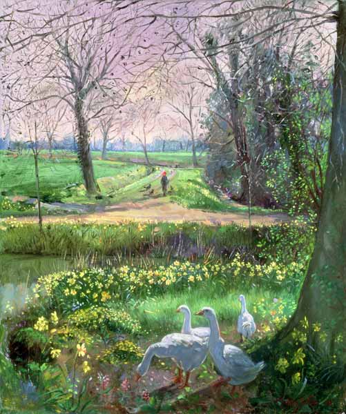 Spring Walk  from Timothy  Easton