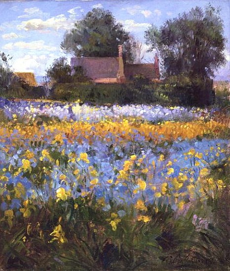The Enclosed Cottages in the Iris Field  from Timothy  Easton
