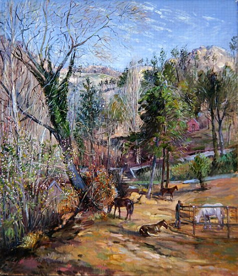 The Horse Corral from Timothy  Easton