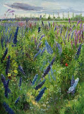 Delphiniums and Emerging Sun, 1991 