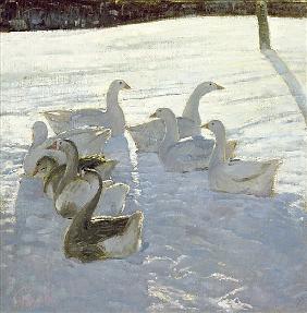 Geese Against the Light (oil on canvas) 
