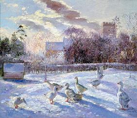 Winter Geese in Church Meadow (oil on canvas) 