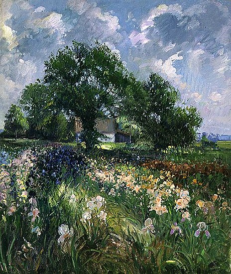 White Barn and Iris Field, 1992  from Timothy  Easton