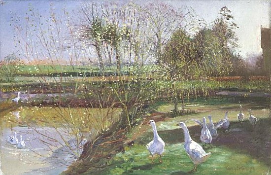 Willow and Geese, 1991  from Timothy  Easton