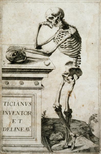 Anatomical study from Tizian (eigentl. Tiziano Vercellio)