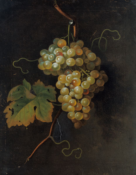 Grapes from Tobias Stranover