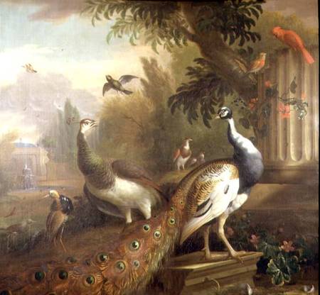 Peacock and Peahen with a Red Cardinal in a Classical Landscape from Tobias Stranover