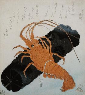 Langoustine with a Block of Charcoal, c.1830
