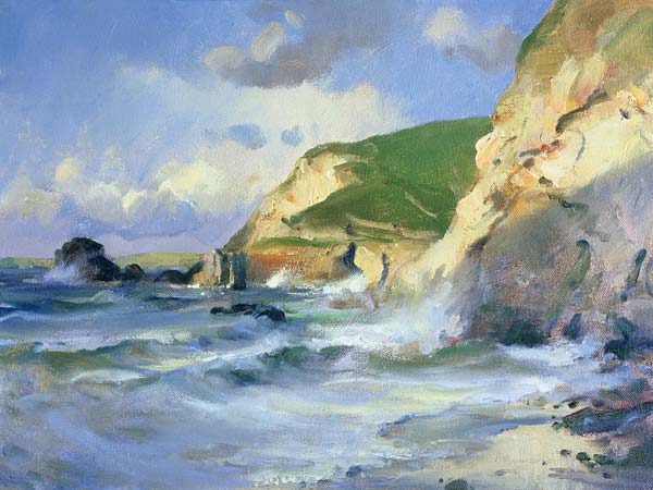 Cliffs at St. Agnes (oil on canvas)  from Trevor  Chamberlain