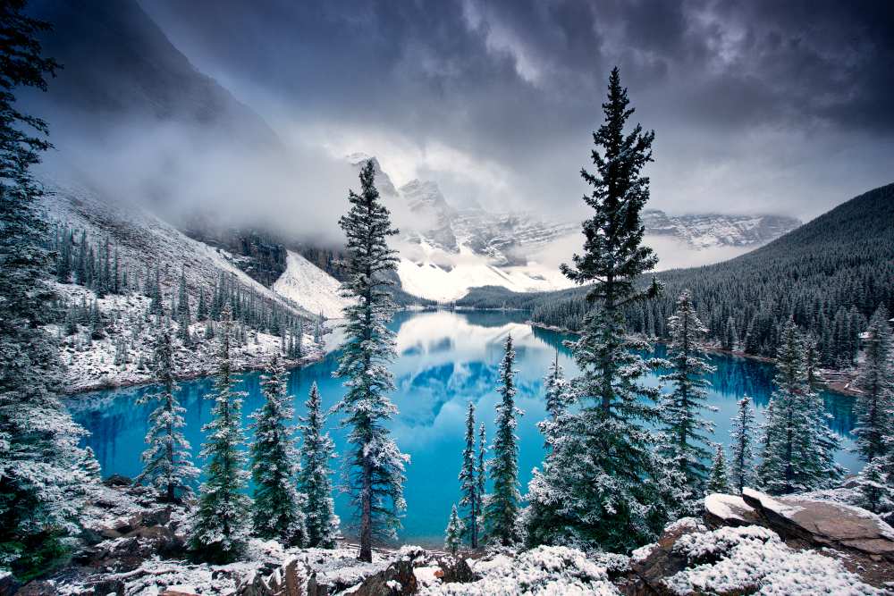 Morning blues from Trevor Cole