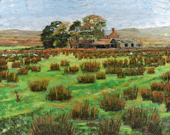 Farm Cumbria from Trevor  Neal