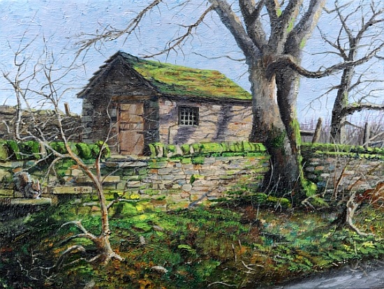 Stone Barn, Alport, Derbyshire from Trevor  Neal