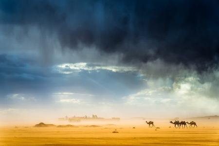 Sturm,Wind,Regen,Sand,Kamele und unglaubliches Licht in der Wüste