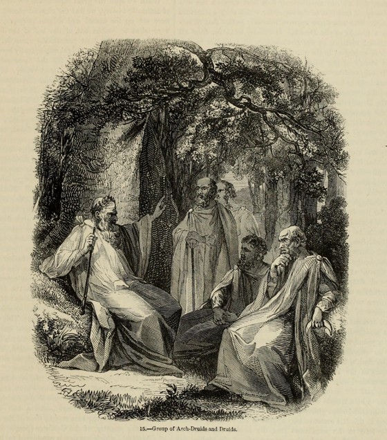 Group of Archdruids and Druids (From the book "Old England: A Pictorial Museum") from Unbekannter Künstler