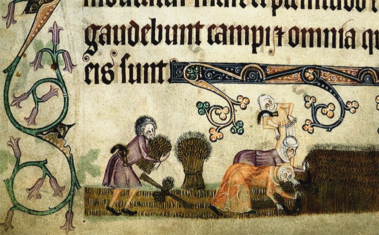 Reaping and binding sheaves (From the Luttrell Psalter) from Unbekannter Künstler