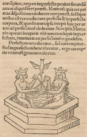 Illustration for The Rosary of the Philosophers (Rosarium philosophorum sive pretiosissimum donum De