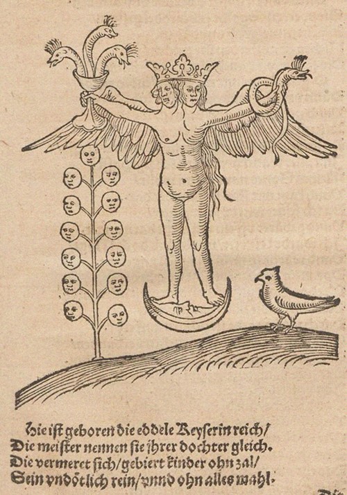Illustration for The Rosary of the Philosophers (Rosarium philosophorum sive pretiosissimum donum De from Unbekannter Künstler