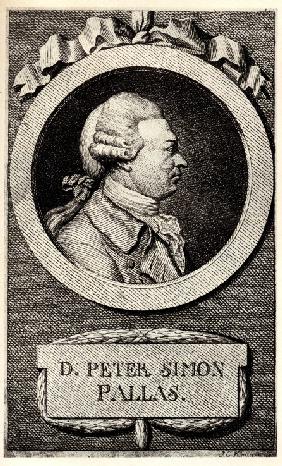 Portrait of the zoologist and botanist Peter Simon Pallas (1741-1811)