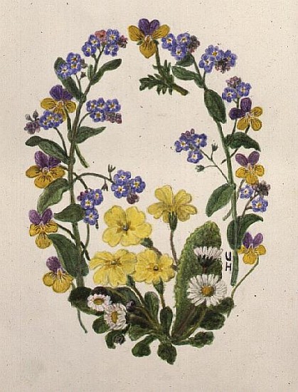 Primroses, Forget-me-nots, Pansies and Daisies (w/c on paper)  from Ursula  Hodgson