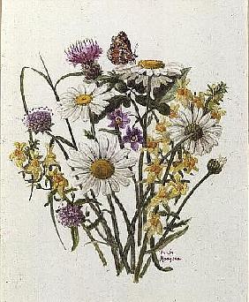 Knapweed, Ox-eye Daisy and Toad Flax (w/c on paper) 