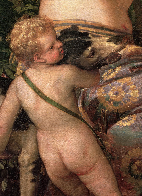 Cupid, detail from Venus and Adonis from Veronese, Paolo (eigentl. Paolo Caliari)