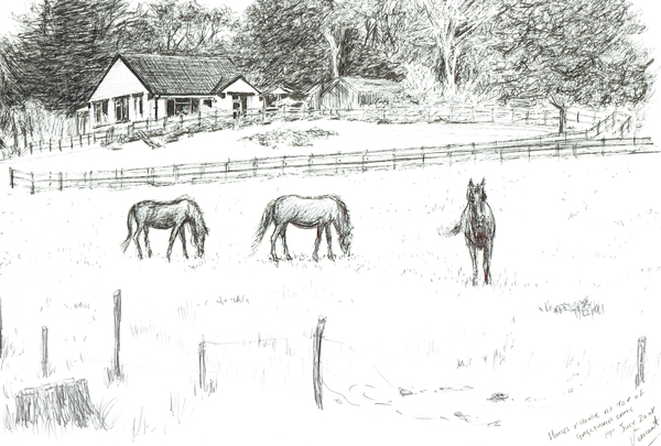 Horses at top of lane from Vincent Alexander Booth