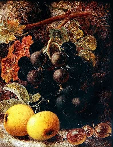 Grapes, Apples and Gooseberries from Vincent Clare