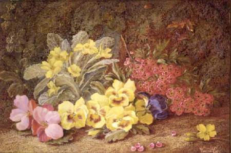 Roses and Primroses from Vincent Clare