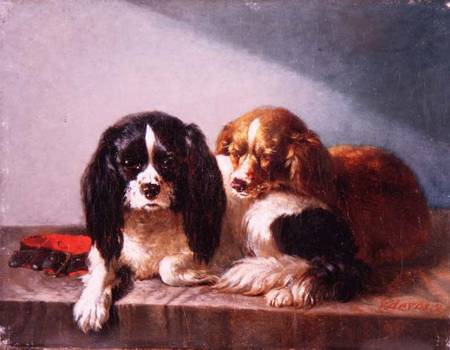 A Pair of Cavalier King Charles Spaniels on a Ledge from Vincent de Vos