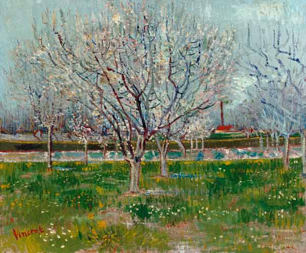 Blühender Obstgarten from Vincent van Gogh