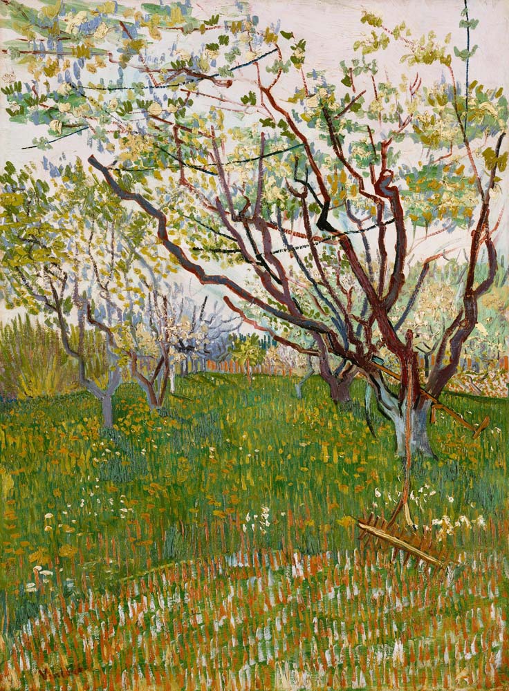 Blühender Obstgarten from Vincent van Gogh