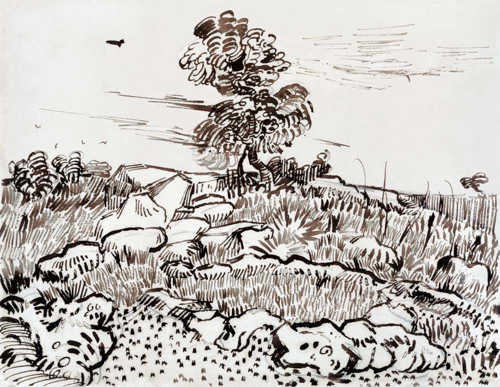 Rocky Ground at Montmajour, 1888-89 (pen, reed pen & from Vincent van Gogh