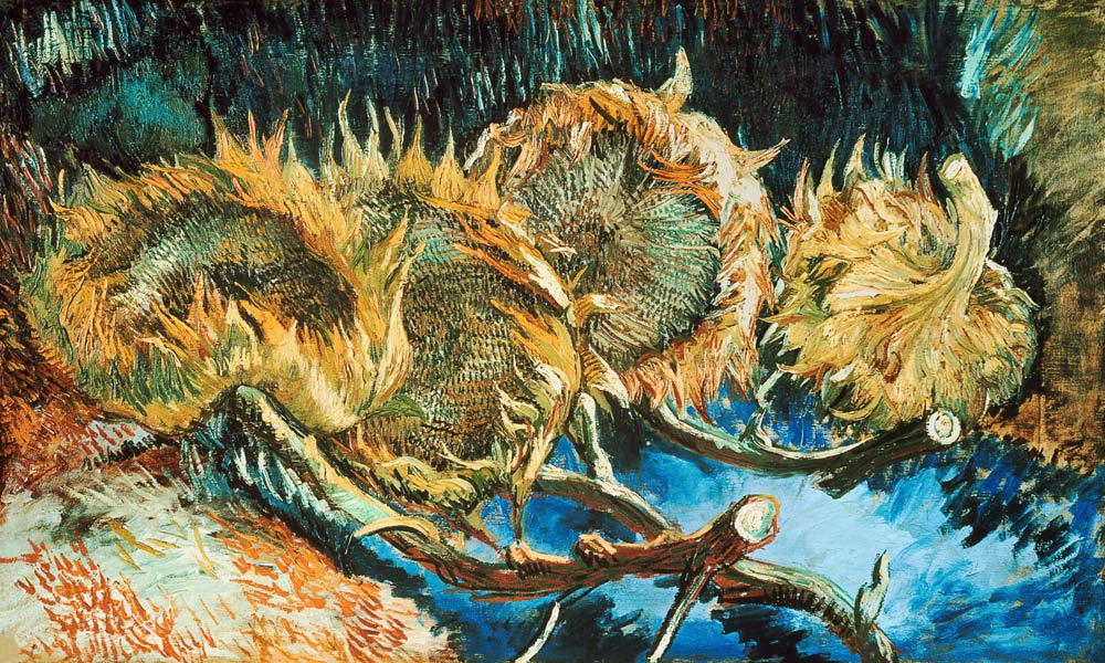 Vier verblühte Sonnenblumen from Vincent van Gogh