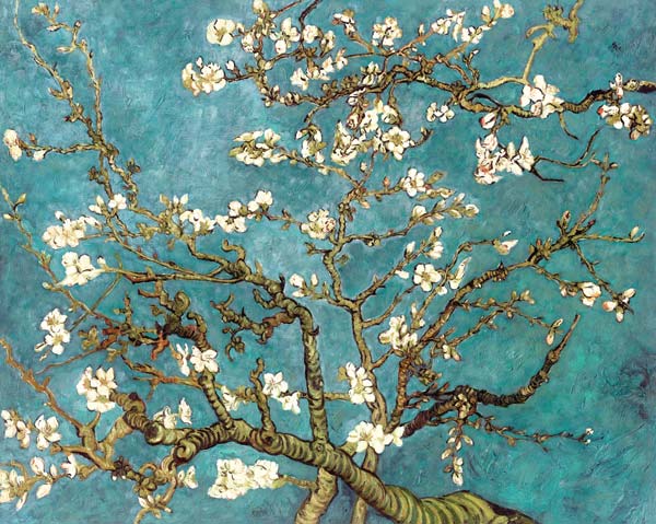 Blühende Mandelbaumzweige(Dublikat) from Vincent van Gogh