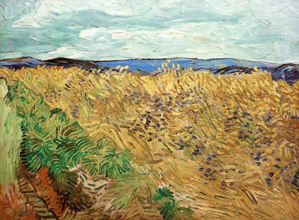 V.v.Gogh, Field w.Cornflowers /Ptg./1890 from Vincent van Gogh