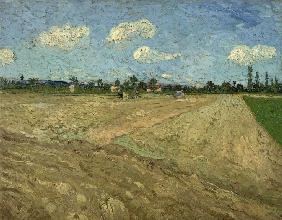 Ploughed fields (The furrows)