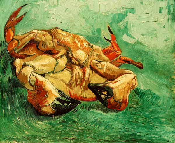 Krebs auf dem Rücken liegend from Vincent van Gogh