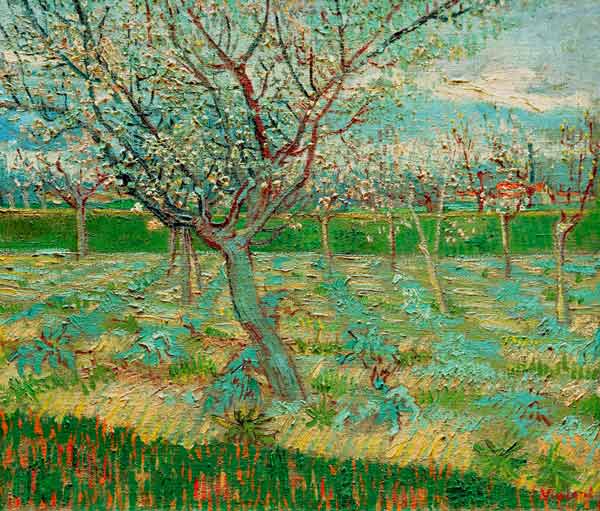 van Gogh / Orchard in Blossom / 1888 from Vincent van Gogh