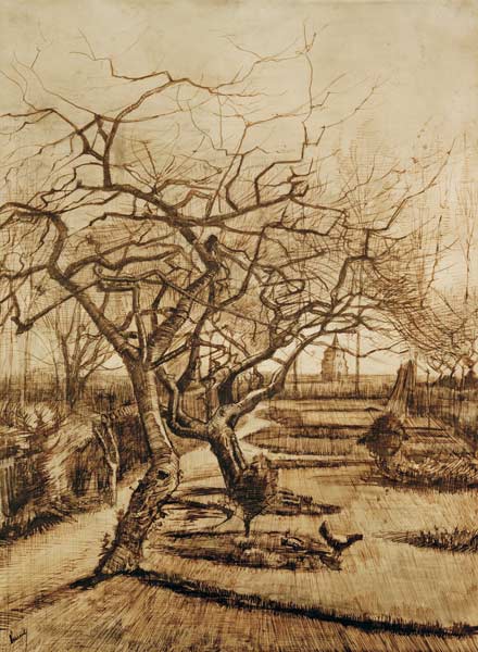 v.Gogh, Parsonage Garden in Nuenen/Draw. from Vincent van Gogh