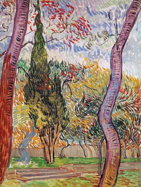 The Park at the Saint-Paul Hospital from Vincent van Gogh