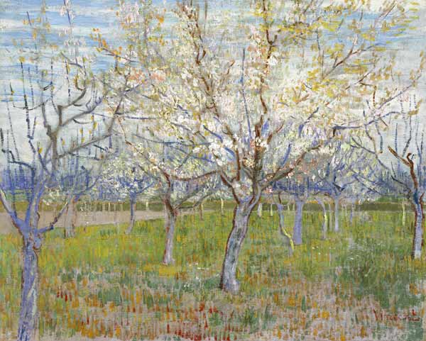 The pink orchard from Vincent van Gogh