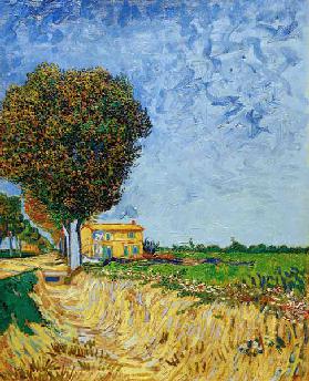 V.v.Gogh, Avenue near Arles