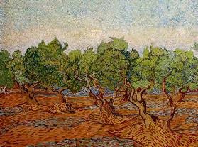 Van Gogh, Olive Grove / Paint./ 1889