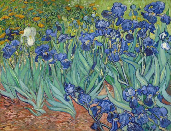Schwertlilien - Vincent van Gogh