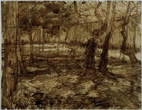 v.Gogh, Corner in Asylum Garden / 1889